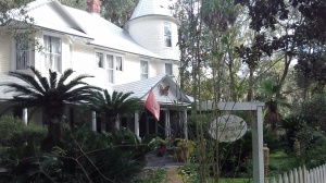 More old Micanopy Homes